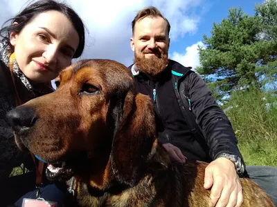 Psiehawioryści - behawiorysta psów, behawiorysta kotów Gdynia